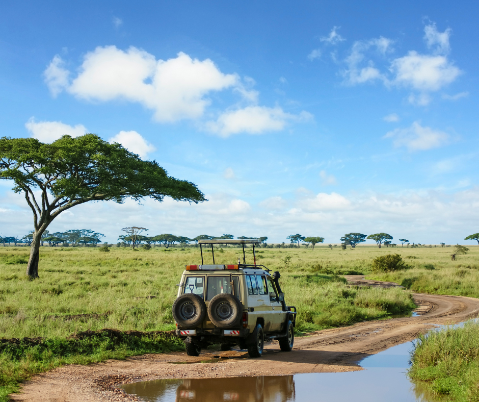 safari Afrique voyage sur mesure travel planner