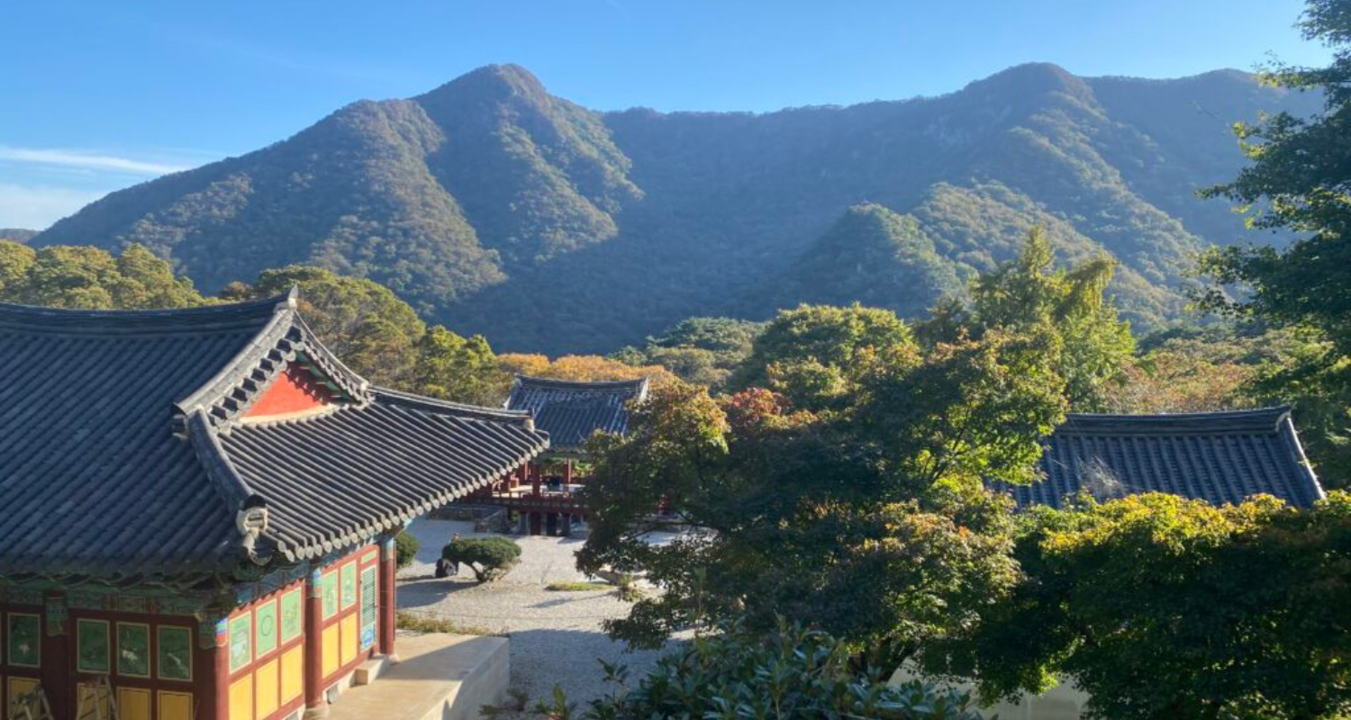 Itinéraire K-Pop Corée du Sud